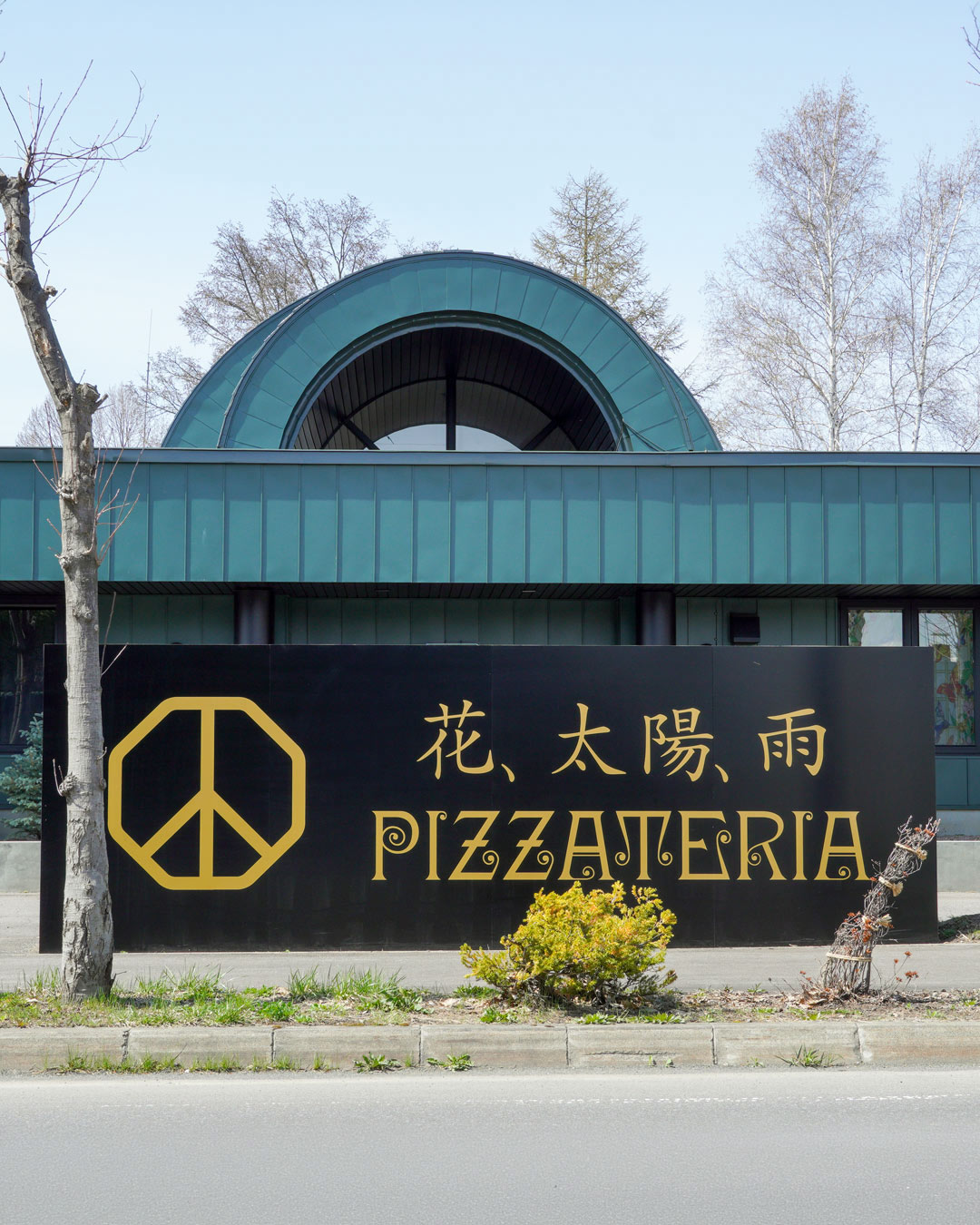 花、太陽、雨 GWにリニューアル